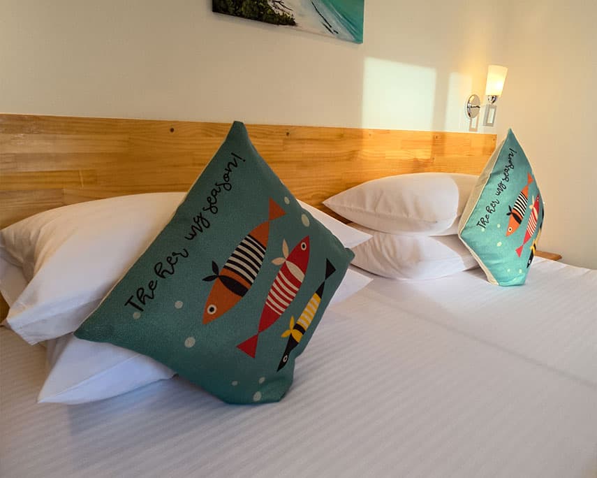 Asseyri Guest House room or surroundings