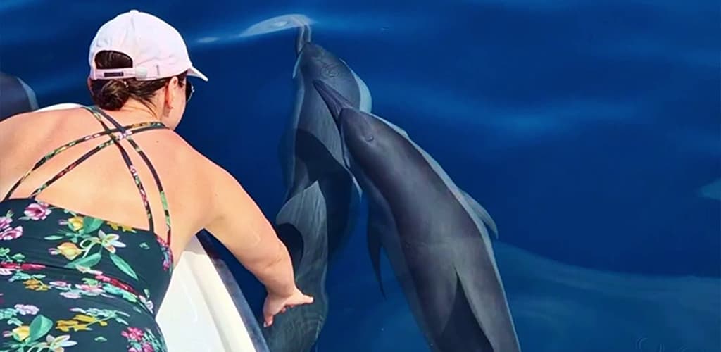 Dolphin Encounters