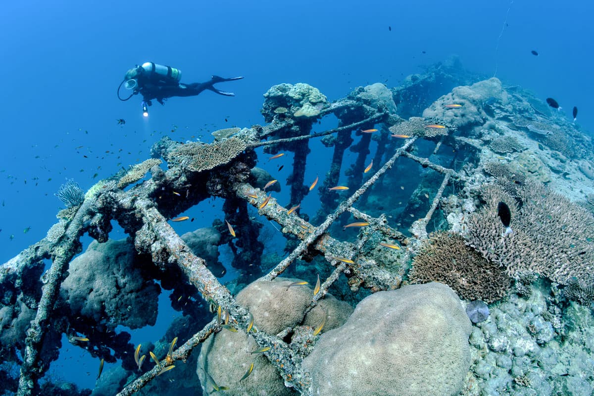Sansara 7 Night 10 Dive Package