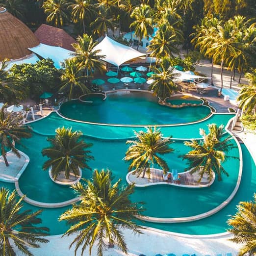 Large tropical resort pool surrounded by palm trees