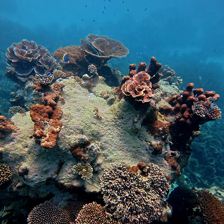 vlcsnap-2025-03-11-15h42m11s203