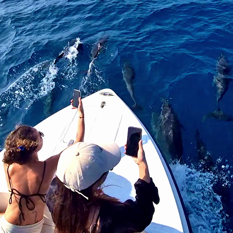 vlcsnap-2025-03-11-15h52m32s332