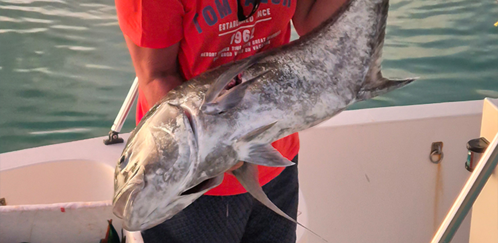Addu Atoll Fishing