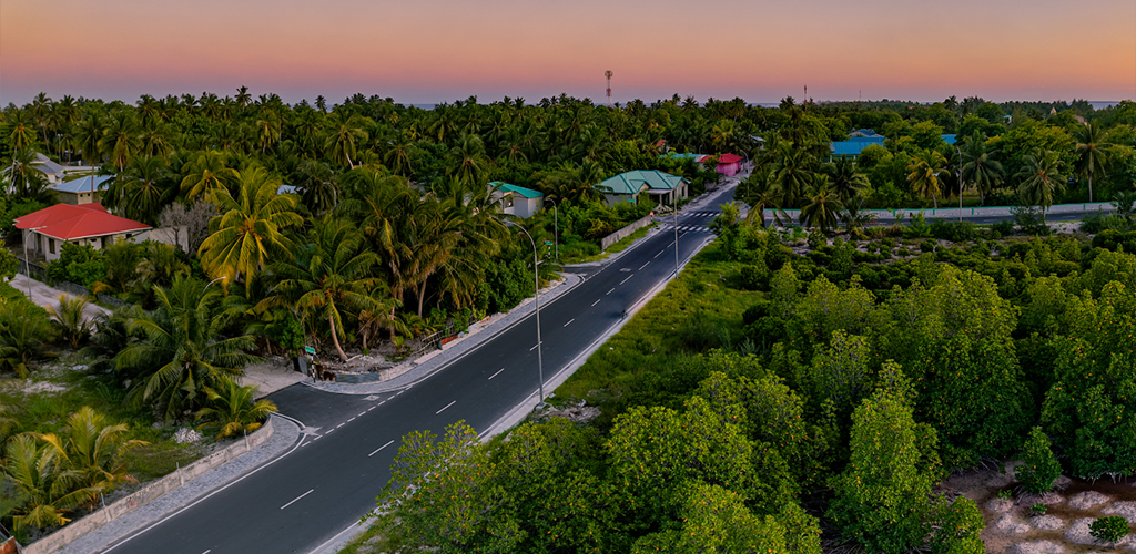 Addu, Meedhoo Mangroves
