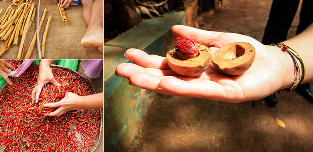 Spice Garden Sri Lanka