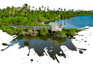 Addu Nature Park wetland and bird habitat in Addu Atoll