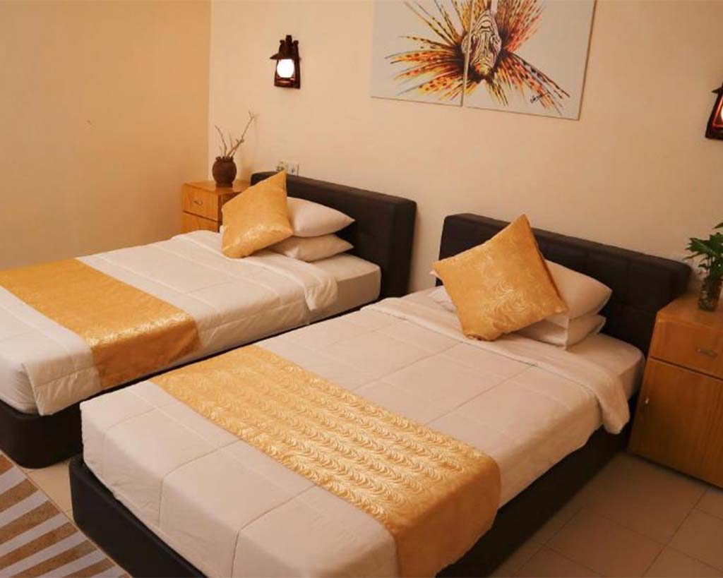 Deluxe Twin Room Photo