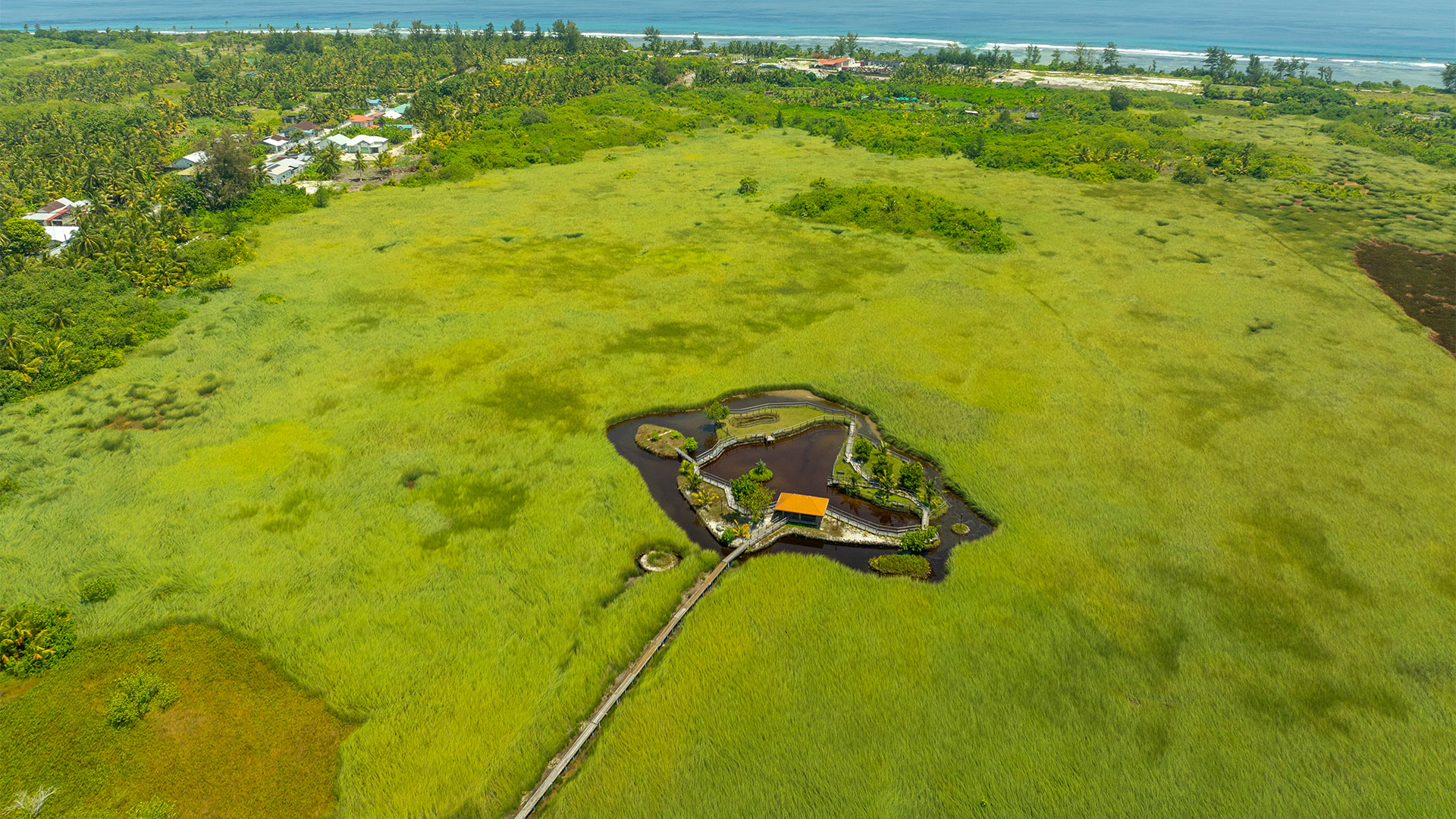 Mangroves and green nature in Addu Atoll